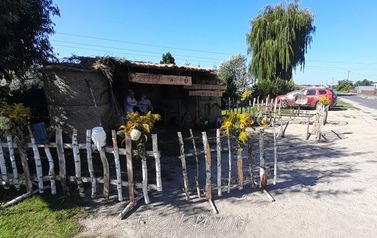 Trzuskołoń