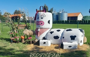 kĘDZIERZYN