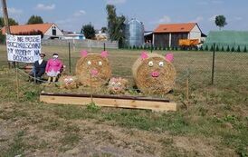 Kędzierzyn 