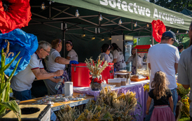 niechanowo-167