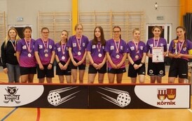 DSC - Jarzabek