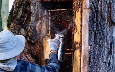 Zdjęcie do Konkurs fotograficzny &bdquo;PROW w obiektywie &ndash; druga edycja&rdquo;