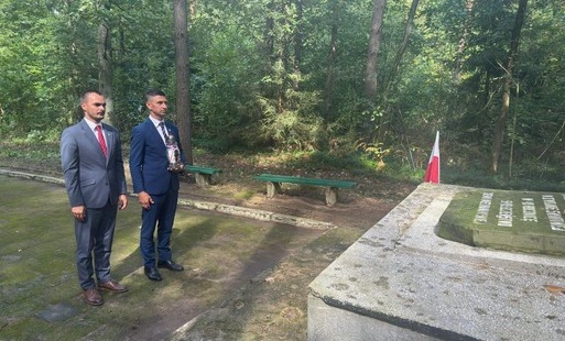 Zdjęcie do 1 września 